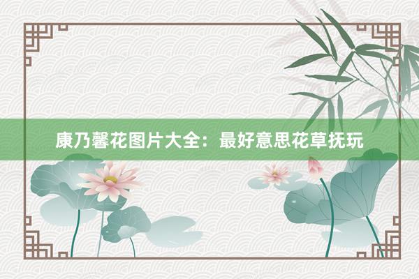 康乃馨花图片大全：最好意思花草抚玩